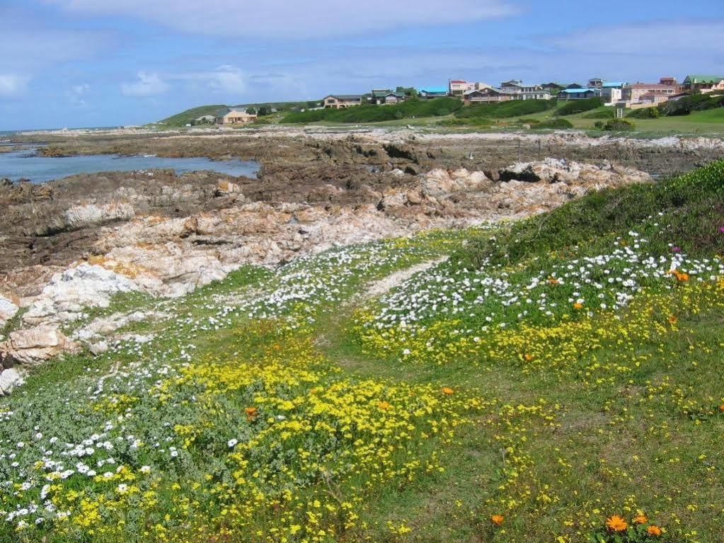 Aire del Mar Guest House Kleinbaai Esterno foto